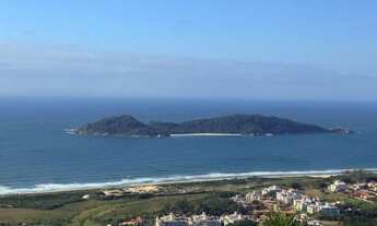 Imagem: ÁREA NO CAMPECHE COM ESCRITURA PÚBLICA!!!