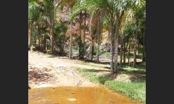 Imagem 6: Vendo sitio em Santa Leopoldina com poço de peixE