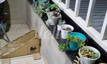 Imagem 3: São Caetano do Sul - Apartamento Padrão - Boa Vista