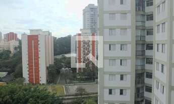 Imagem 4: Apartamento à Venda - Jardim Marajoara , 3 Quartos, 75 m2