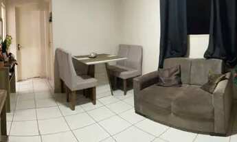 Imagem 4: Jardim Paradiso Anturio