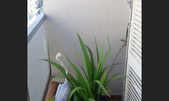 Imagem 2: DIVIDIR KITINET 48