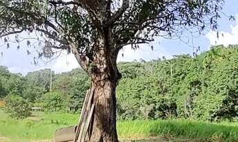 Imagem 4: VENDE SE OU ALUGA SE CHÁCARA