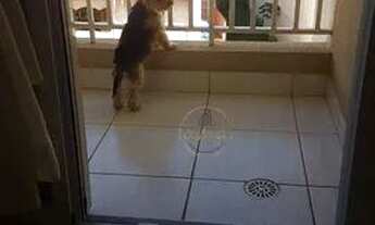 Imagem 6: Apartamento com 3 dormitórios à venda, 86 m² por R$ 573.000,00 - Vila Valparaíso - Santo A