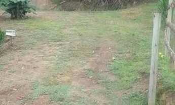 Imagem: Lindo terreno em alfredo Wagner bairro demoras