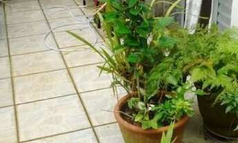 Imagem 3: SOBRADO - RUDGE RAMOS - SP