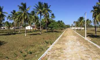 Imagem 1: Loteamento Parque Dos Coqueiros Pronto Para Construir Em Paracuru. n°: Lute sempre pelos s