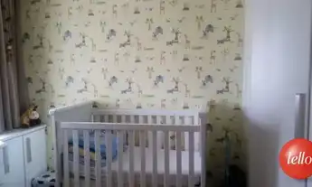 Imagem 3: São Paulo - Apartamento Padrão - Tatuapé