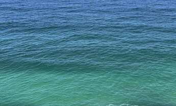 Imagem 5: APARTAMENTO - MORRO DO MALUF - SP