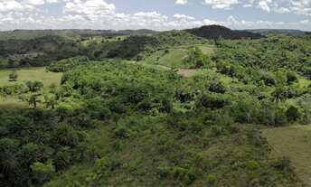Imagem 2: Vendo fazendinha em Nazaré das farinha