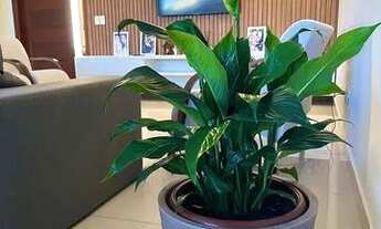 Imagem 4: Casa com piscina para temporada em Porto Seguro-BA