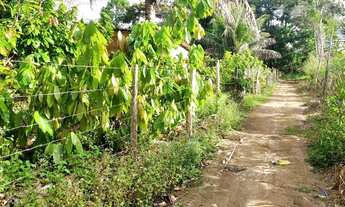 Imagem 5: Vendo sítio em Valença Bahia
