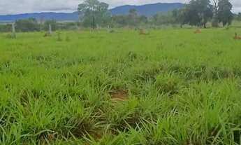 Imagem 4: Fazenda com dupla aptidão 41,5 alqueires, Planta em 21. Campinorte-GO