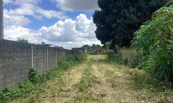 Imagem 4: VENDE-SE OU ALUGA-SE ÁREA NA BR-104 (Sentido Maceió