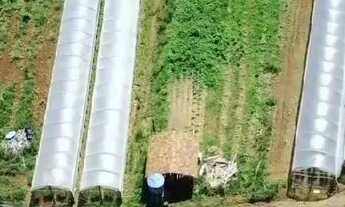 Imagem: Lindo Sítio com água em abundância