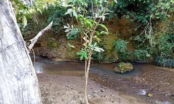 Imagem 6: Ponte Alta de Cima, 24 Alqueires (116 hectares) formada a 2 km asfalto córrego