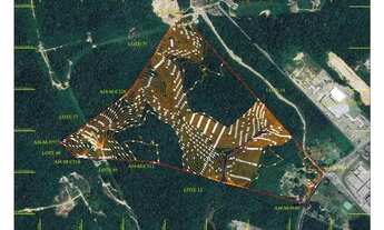 Imagem: Lote Terreno Am010 Am 010 390.000m2 39 hectares