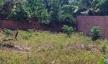 Imagem 7: Vendo terreno no tajaçuaba zona rural de são Luís MA