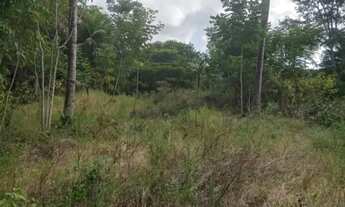 Imagem 7: Terreno para Venda em Entre Rios, Mutuim