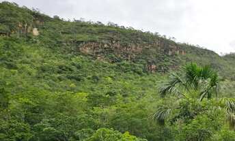 Imagem 3: Alqueire com muito mato à beira do rio das almas
