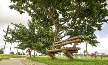 Imagem 4: Vendo lote no damha 1