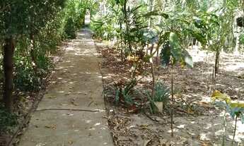 Imagem 6: Imóvel para venda com 2025 metros quadrados com 2 quartos em Setor Central - Heitoraí - GO