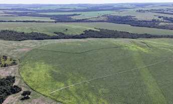 Imagem 3: Fazenda de 178 alqueires em Ipameri-Go