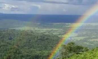 Imagem 5: Fazenda à Venda em Bom Jardim de Goiás 34,5 Alqueires