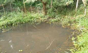 Imagem 2: Chacara apenad 2,5 do asfalto 150 mil rrais