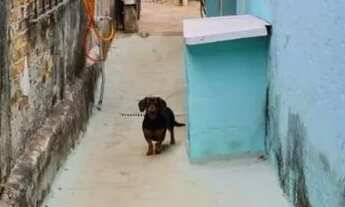 Imagem 7: Casa para venda com 150m² e 1 vaga em Jundiaí