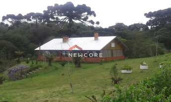 Imagem 7: Lote em Avenida Ximangos - Colinas - São Francisco de Paula/RS