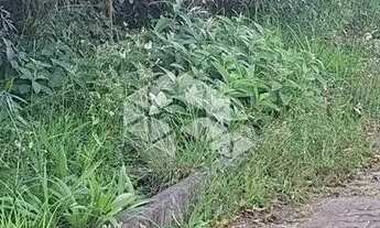 Imagem 2: Terreno com 517,04 m2 em área nobre na serra gaúcha por R$ 540.600,00