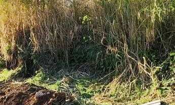 Imagem 3: Terreno à Venda em Gramado!