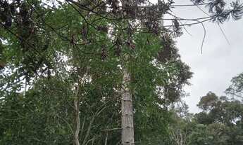 Imagem: Terreno de 2 mil mts 77 mil reais plaino