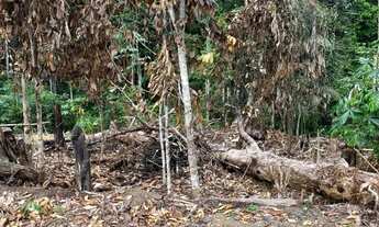 Imagem 2: Terreno à venda em Presidente Figueiredo - próximo à corredeira do Urubuí!