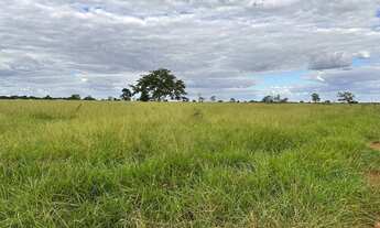 Imagem 6: Fazenda a venda em Itapirapuã - Goiás!!!