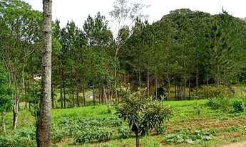 Imagem: Linda Chacara em São Paulo mais de 12.000