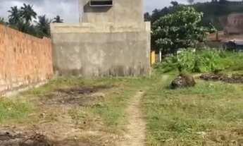 Imagem 4: Vendo 3 terrenos em São Miguel dos Milagres, litoral norte de Alagoas, da seguinte forma