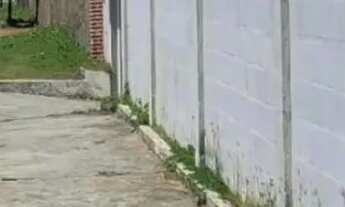 Imagem: EXCELENTE CASA COM TERRENO GRANDE 1.000M²