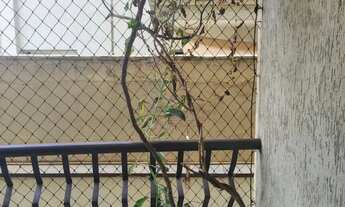 Imagem 5: Apartamento de 50m² com 02 quartos à venda - Vila Ana Maria