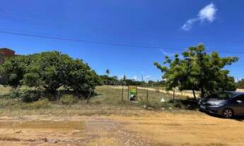 Imagem: Vendo dois Lotes no Loteamento RGA no Matapua