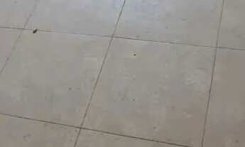 Imagem 6: Conjunto comercial à Venda , 2 salas, 66,71m² - Brás