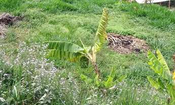 Imagem 7: Vendo sítio em Ibirité próximo ao Rancho do do Rildo