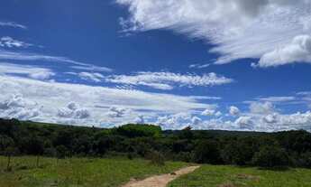 Imagem 4: Chácaras de 20mil mt com córrego em cristianopolis!