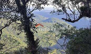 Imagem 2: Lote em rua colinas - Colinas - São Francisco de Paula/RS