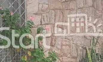 Imagem: Casa - Vila Itapura - Campinas