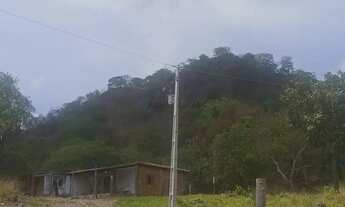 Imagem: VENDO Uma fazenda com 150 hectares próximo