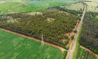 Imagem 3: Áreas de 20.000m² - Parque Jaraguá