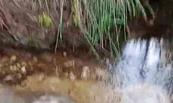 Imagem 3: Vendo um lote e 2 chácaras no Jalapão