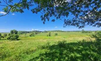 Imagem 5: Fazenda de 52,00 Alqueires em Araruama